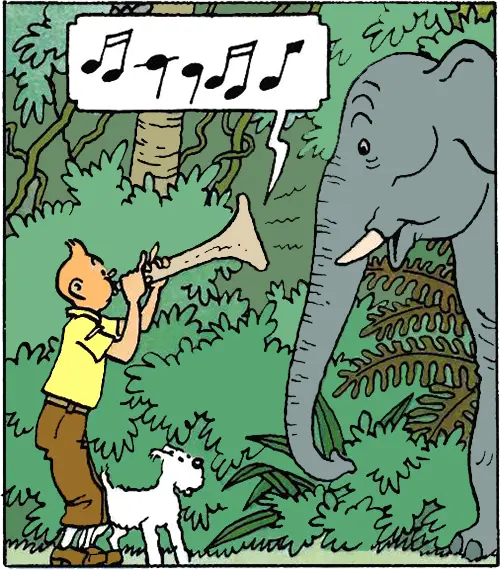 زبان جهانی موسیقی: ارتباط بین انسان و حیوان